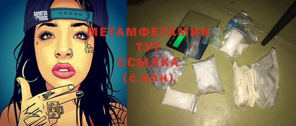 прущая мука Вяземский