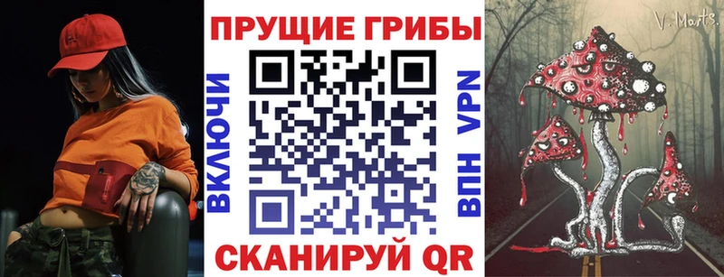 где найти наркотики  Железногорск-Илимский  Псилоцибиновые грибы MAGIC MUSHROOMS 